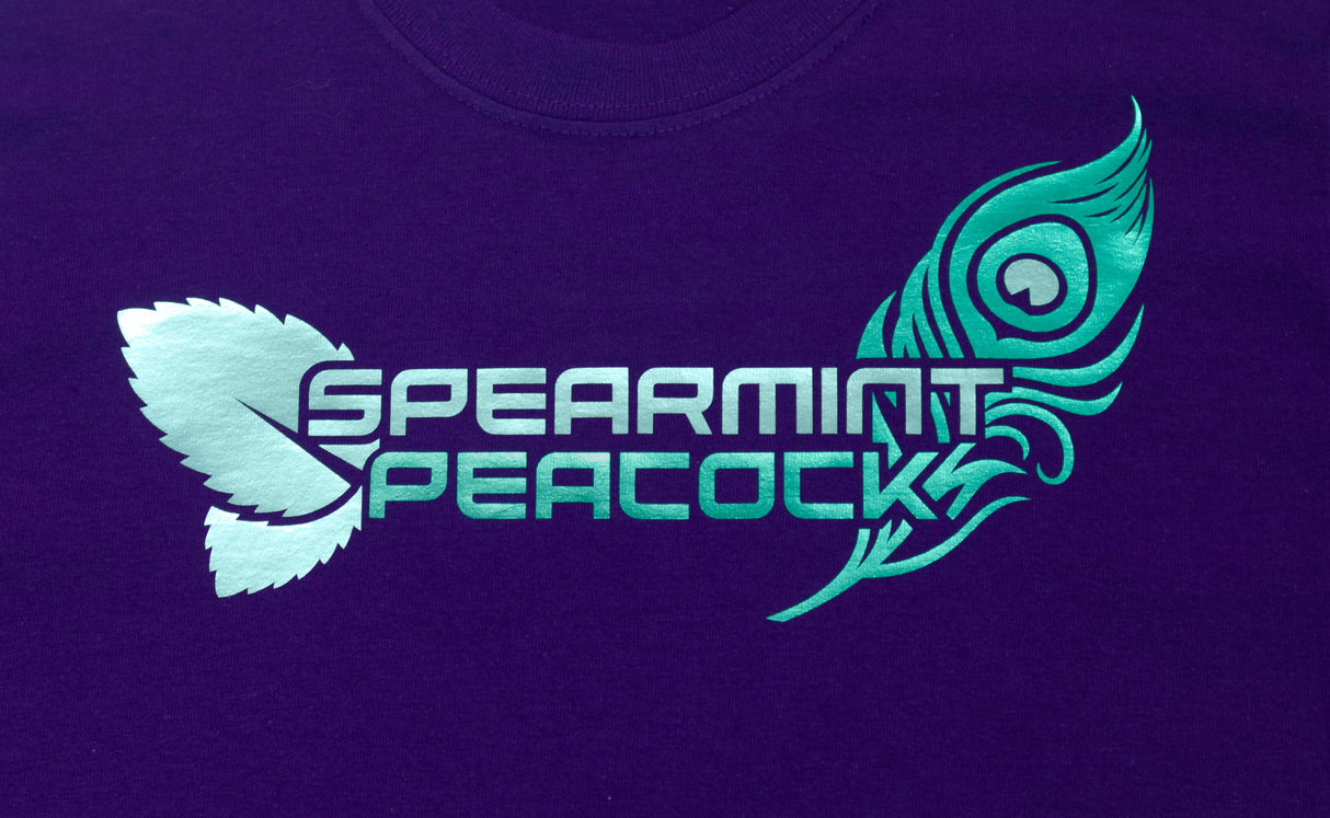 Siser EASYWEED ELECTRIC Heat Transfer Vinyl - 15" x 1 Foot - HeatPressNation