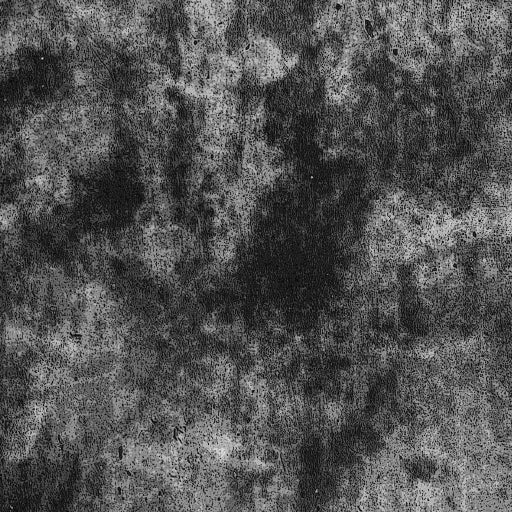 Siser EasyPSV Patterns Permanent Adhesive Sticker Vinyl - 12" x 25 Yards - HeatPressNation