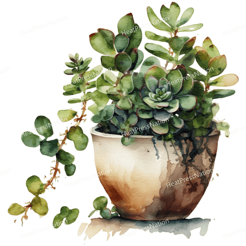 Plants Growing Design