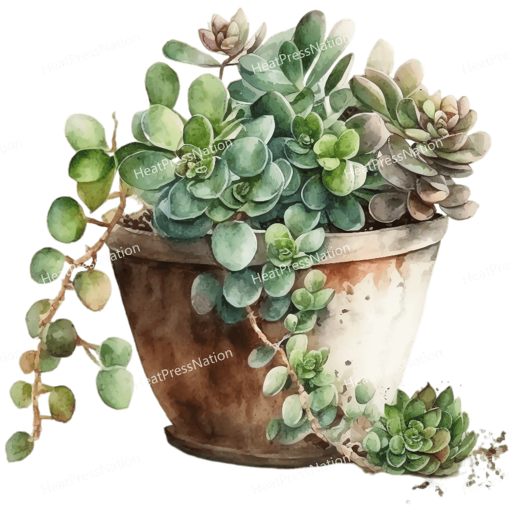 Plant in Pot Design - HeatPressNation