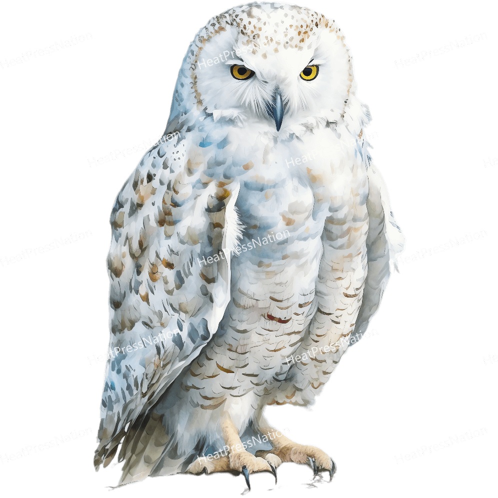 White Owl Front Design - HeatPressNation