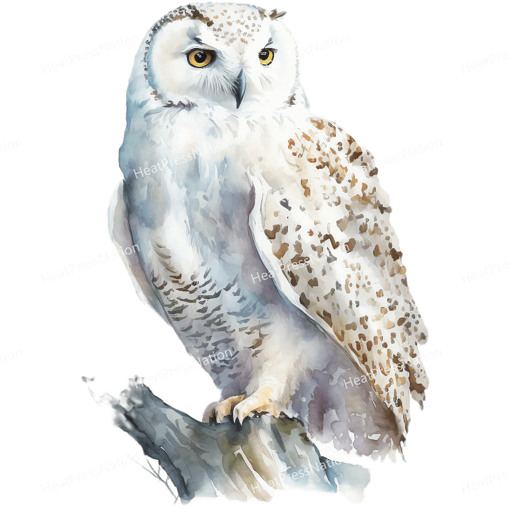 Snow Owl Left Design - HeatPressNation