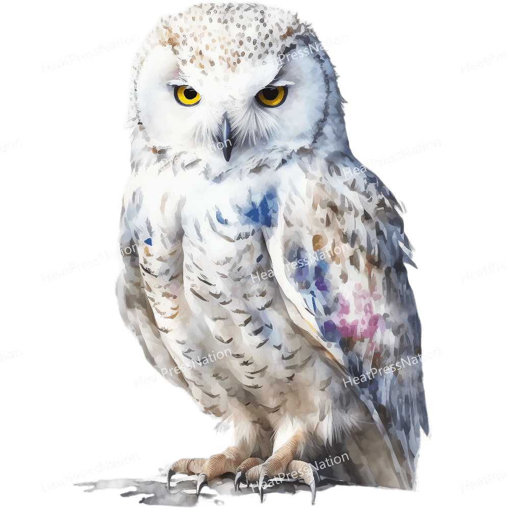 Snow Owl Front Design - HeatPressNation