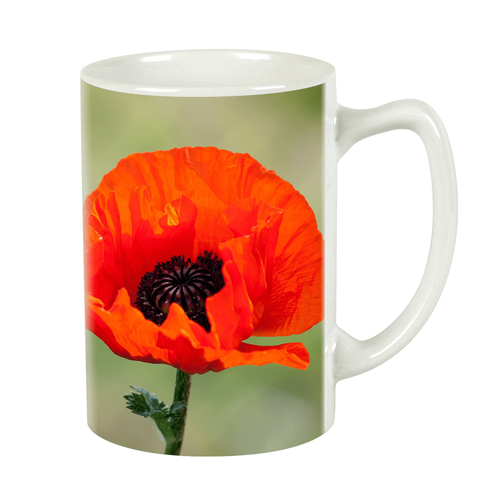 HPN ORCA Premium 14 oz. Statesman Sublimation Ceramic Mug - 36 per Case - HeatPressNation