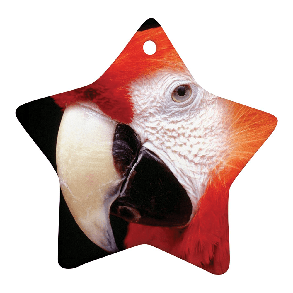 HPN SubliCraft 3" Star Sublimation Ceramic Ornament with Hole - HeatPressNation