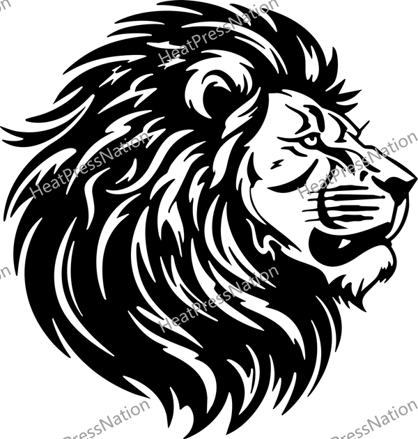 Detailed Lion Mane Vector