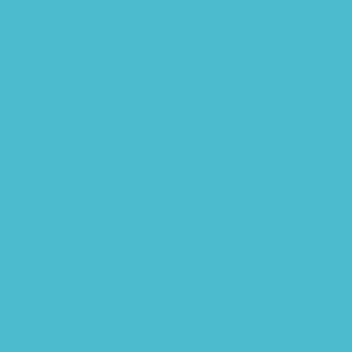 Siser EASYWEED ECOSTRETCH Heat Transfer Vinyl - 20" x 25 Yards