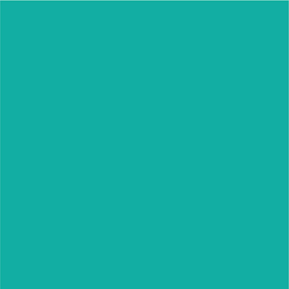 Siser EasyPSV Permanent Adhesive Sticker Vinyl - 24" x 5 Yards
