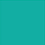 Siser EasyPSV Permanent Adhesive Sticker Vinyl - 24" x 5 Yards