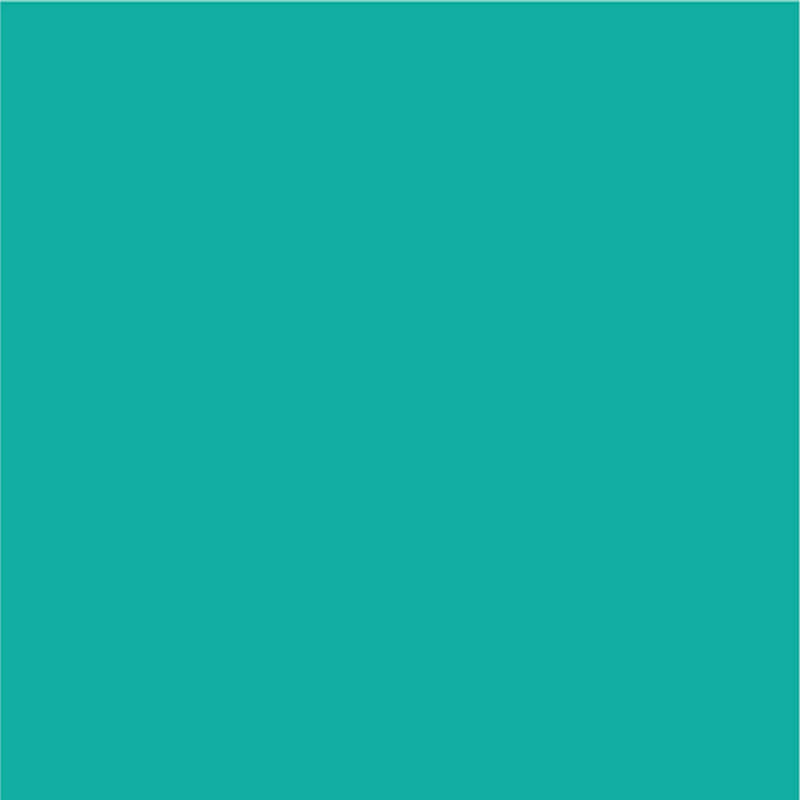 Siser EasyPSV Permanent Adhesive Sticker Vinyl - 12" x 50 Yards