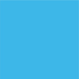 Siser EasyPSV Permanent Adhesive Sticker Vinyl - 12" x 50 Yards