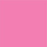 Siser EasyPSV Permanent Adhesive Sticker Vinyl - 12" x 50 Yards