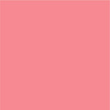 Siser EasyPSV Permanent Adhesive Sticker Vinyl - 12" x 50 Yards