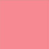 Siser EasyPSV Permanent klebende Vinyl-Aufkleber, 30,5 cm x 9,1 m 