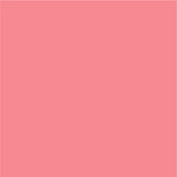Siser EasyPSV Permanent Adhesive Sticker Vinyl - 48" x 25 Yards - HeatPressNation