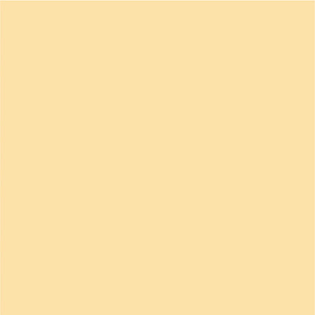 Siser EasyPSV Permanent Adhesive Sticker Vinyl - 48" x 50 Yards