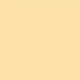 Siser EasyPSV Permanent Adhesive Sticker Vinyl - 12" x 1 Foot