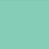 Siser EasyPSV Permanent Adhesive Sticker Vinyl - 12" x 50 Yards