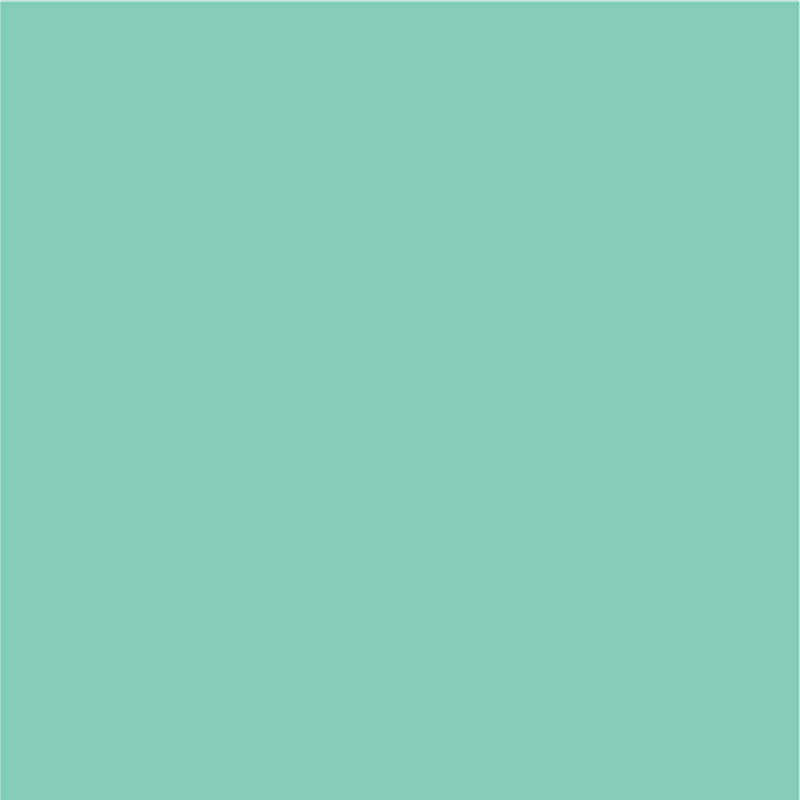 Siser EasyPSV Permanent Adhesive Sticker Vinyl - 12" x 50 Yards