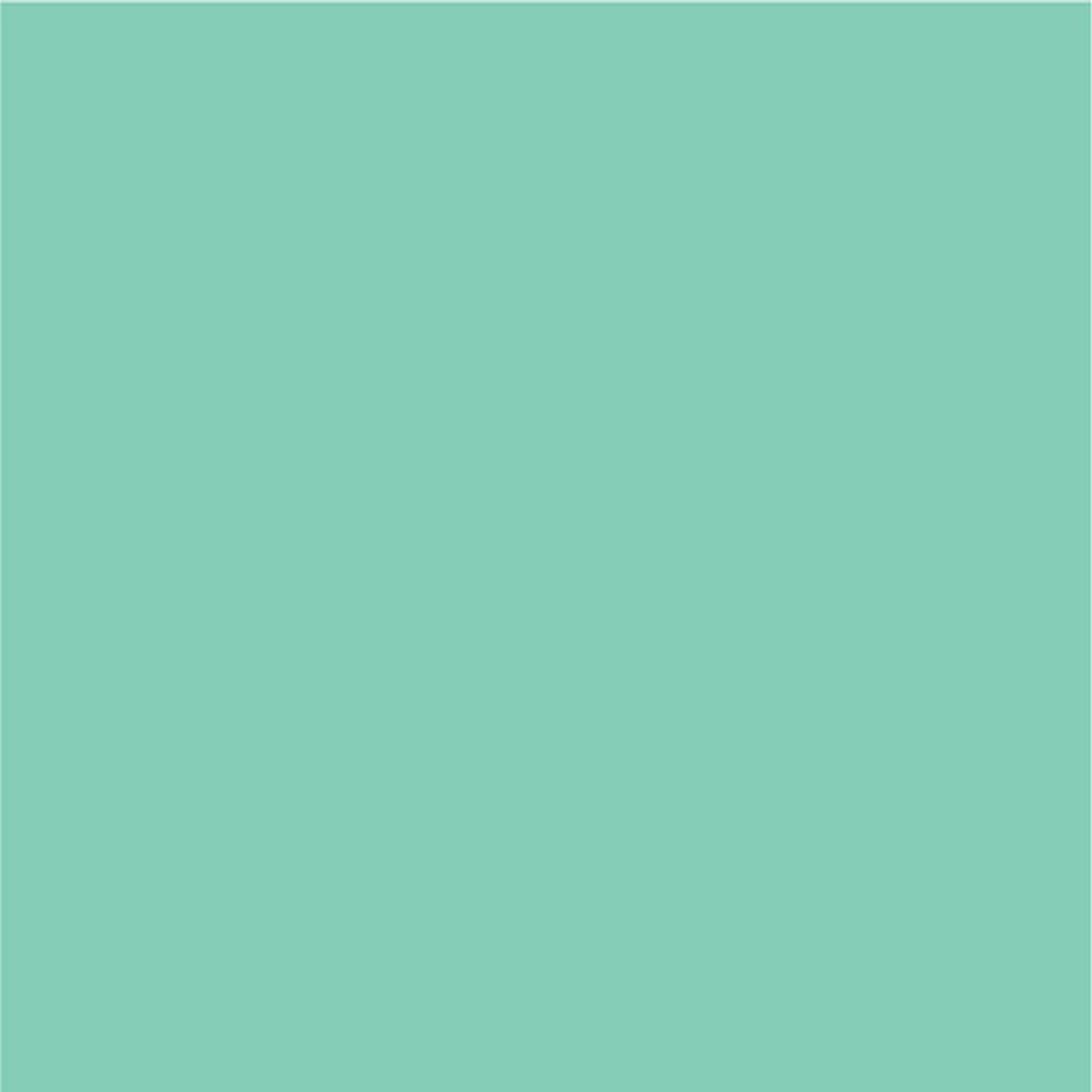 Siser EasyPSV Permanent Adhesive Sticker Vinyl - 48" x 25 Yards - HeatPressNation