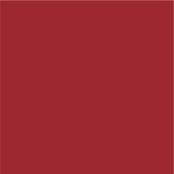 Siser EasyPSV Permanent Adhesive Sticker Vinyl - 24" x 5 Yards