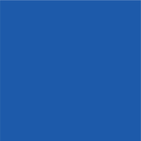 Siser EasyPSV Permanent Adhesive Sticker Vinyl - 24" x 10 Yards