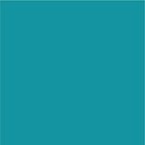 Siser EasyPSV Permanent Adhesive Sticker Vinyl - 48" x 25 Yards - HeatPressNation