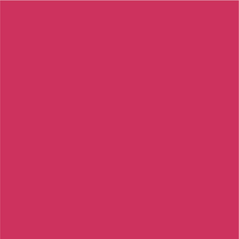 Siser EasyPSV Permanent Adhesive Sticker Vinyl - 12" x 50 Yards