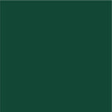 Siser EasyPSV Permanent Adhesive Sticker Vinyl - 24" x 5 Yards