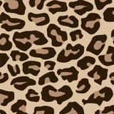 Siser EASYPATTERNS Plus Heat Transfer Vinyl 12" - By the Yard