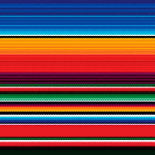 Siser EASYPATTERNS Heat Transfer Vinyl - 12" x 1 Foot