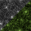 Spiderwebs