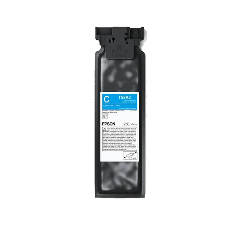 Epson UltraChrome DG2 Ink Cartridge 250ml for F1070