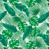 Siser EASYPATTERNS Plus Heat Transfer Vinyl - 12" x 10 Yards