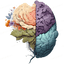 Brain Mashup Design