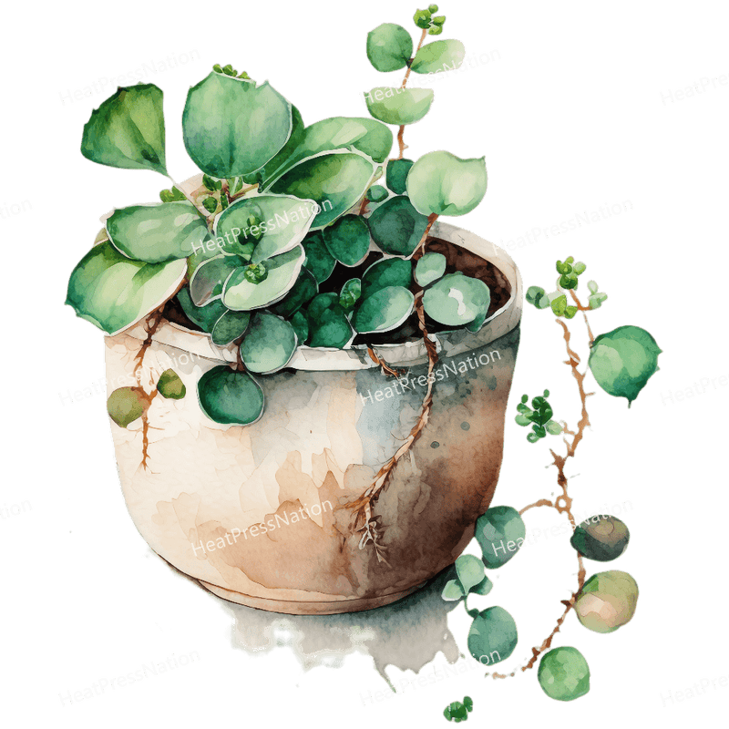 Planted Pot Design