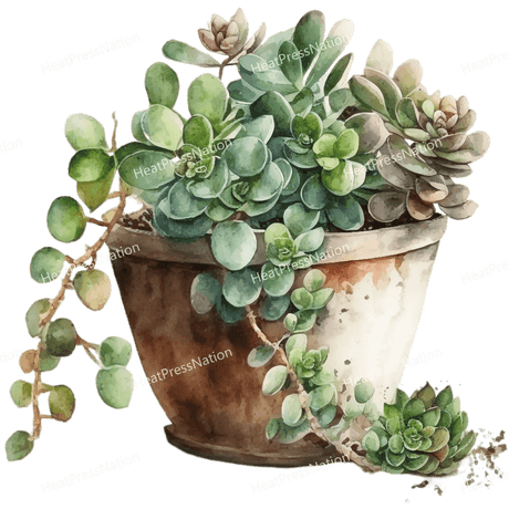Plant in Pot Design - HeatPressNation