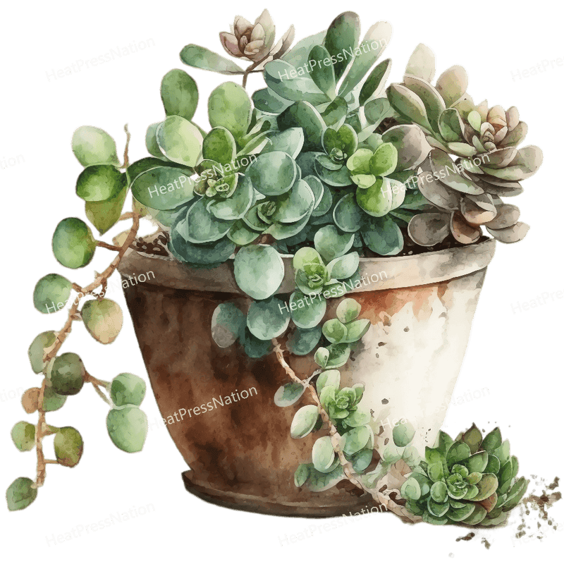 Plant in Pot Design