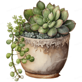 Succulents Growing Design - HeatPressNation
