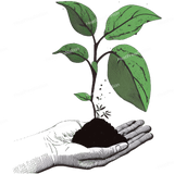 Plant in Hand Design - HeatPressNation
