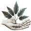 Sappling in Hand Design
