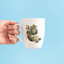 Succulent Assortment Design