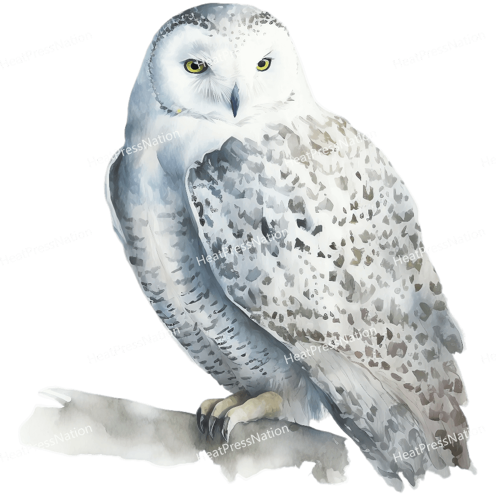 White Owl Side Design
