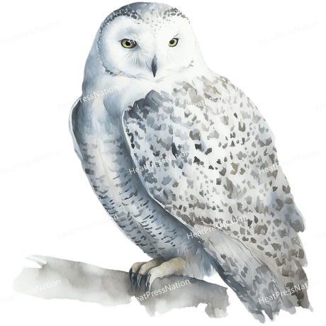 White Owl Side Design - HeatPressNation