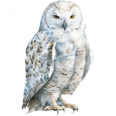 White Owl Front Design - HeatPressNation