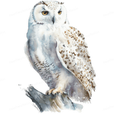 Snow Owl Left Design - HeatPressNation