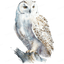 Snow Owl Left Design