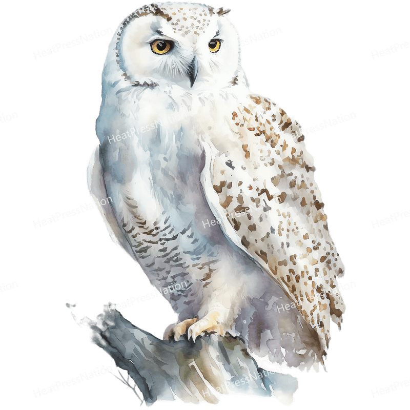 Snow Owl Left Design