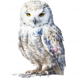 Snow Owl Front Design - HeatPressNation