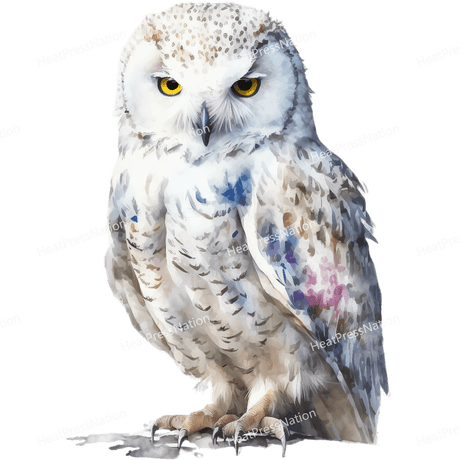 Snow Owl Front Design - HeatPressNation